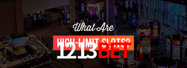 1213bet App Interface